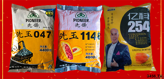 玉米購種季來臨,對(duì)種子有什么顧慮?看看不一樣的選種技巧! 玉米購種季來臨,對(duì)種子有什么顧慮?看看不一樣的選種技巧!