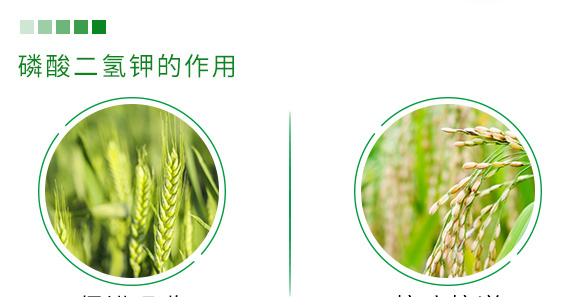 500g有機緩釋氮肥-瑞倍達(dá) 500g有機緩釋氮肥-瑞倍達(dá)