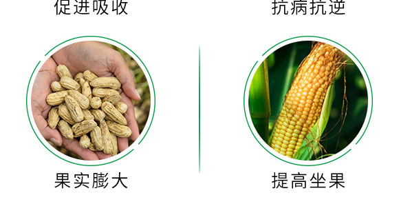 500g有機緩釋氮肥-瑞倍達(dá) 500g有機緩釋氮肥-瑞倍達(dá)
