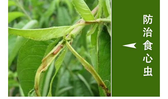 ȫһ-滯h(yun)