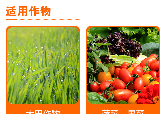 鍘熸枡綰?綰х熆婧愰粍鑵愰吀閽撅紙澶╃劧鐢熺墿鍒烘縺绱狅級(jí)-鐭挎簮閮?灝婁韓鐢熺墿_05.jpg 鍘熸枡綰?綰х熆婧愰粍鑵愰吀閽撅紙澶╃劧鐢熺墿鍒烘縺绱狅級(jí)-鐭挎簮閮?灝婁韓鐢熺墿_05.jpg