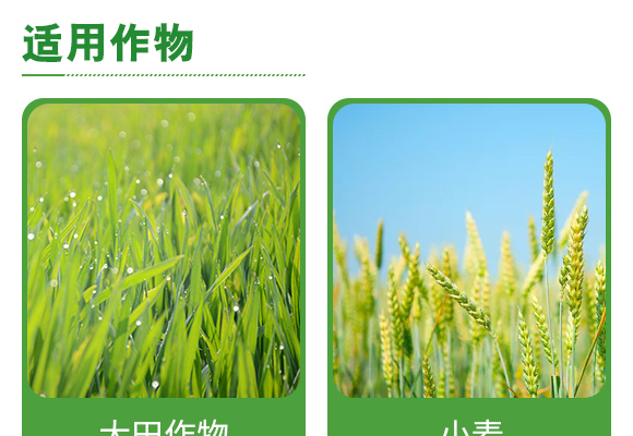 微生物菌?耕乐?耕耘(sh)_05.jpg
