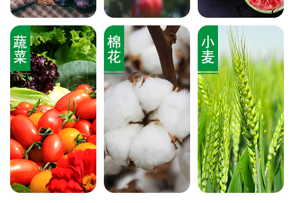 25%鍣昏櫕鍡?zhèn)瑡巩鍓俖06.jpg 25%鍣昏櫕鍡?zhèn)瑡巩鍓俖06.jpg