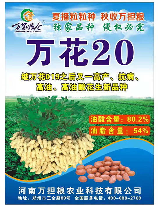 萬(wàn)花20-花生種子-萬(wàn)擔(dān)糧 萬(wàn)花20-花生種子-萬(wàn)擔(dān)糧