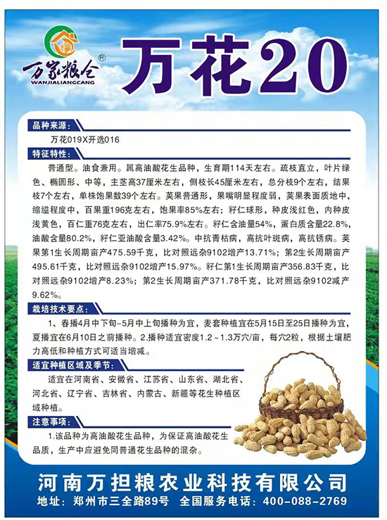 萬(wàn)花20-花生種子-萬(wàn)擔(dān)糧 萬(wàn)花20-花生種子-萬(wàn)擔(dān)糧