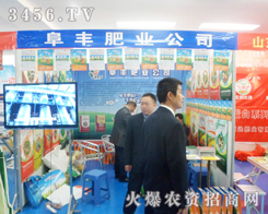 SʘI(y)2013շpϻ
