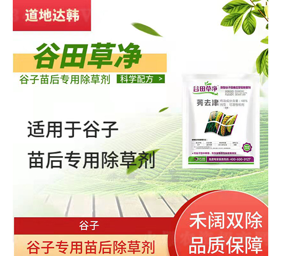 ӌ(zhun)݄-݃-_(d)n