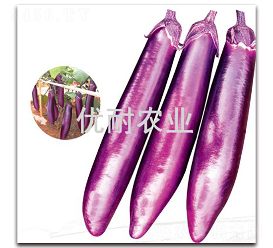 (yu)ͼt2013-ӷN-(yu)rI(y)