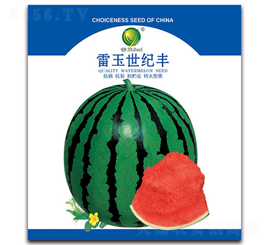 oS-ϷN-NI(y)