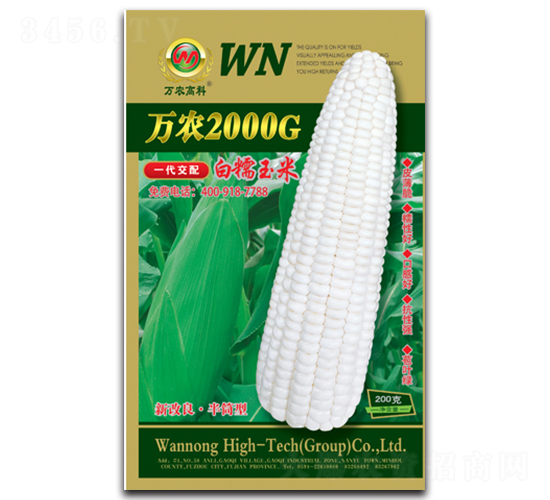 f(wn)r(nng)2000G-Ŵ׷N-f(wn)r(nng)߿