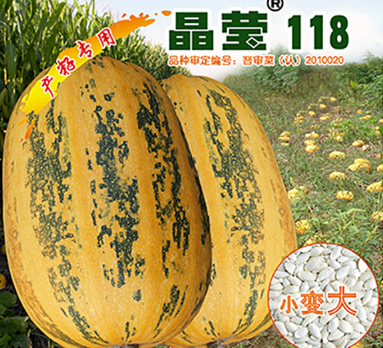118-JN-x(li)