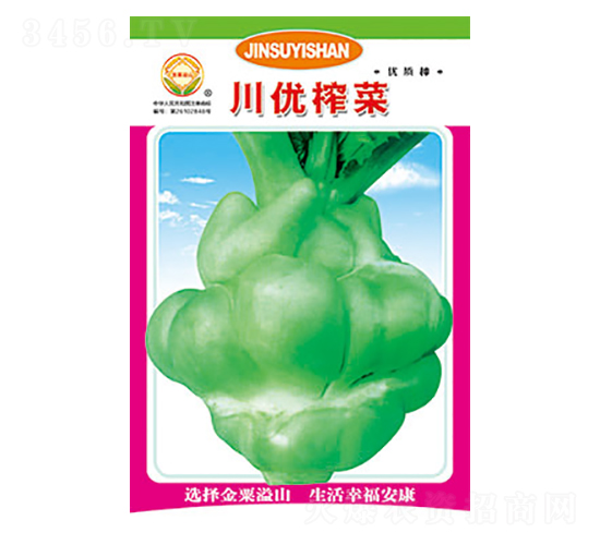 ե˷N-(yu)ե-̫(l)NI(y)