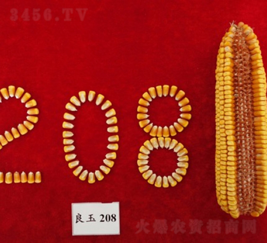 208-׷N-ǺNI(y)