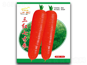 tߴ煢-}N-(chung)