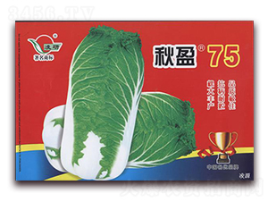 ӯ75-ײ˷N-ʴrI(y)