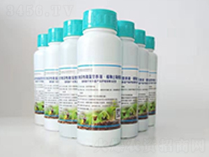 Сˮ΢IB(yng)ҺҺ-