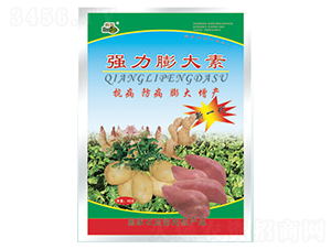 (qing)-