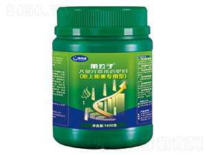 -(zhun)-