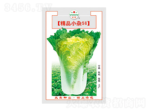 ײ˷N-ƷСs56-̫(l)NI(y)