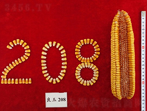 208-׷N-ǺNI(y)