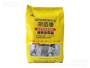 Sù-翵-ڼژ